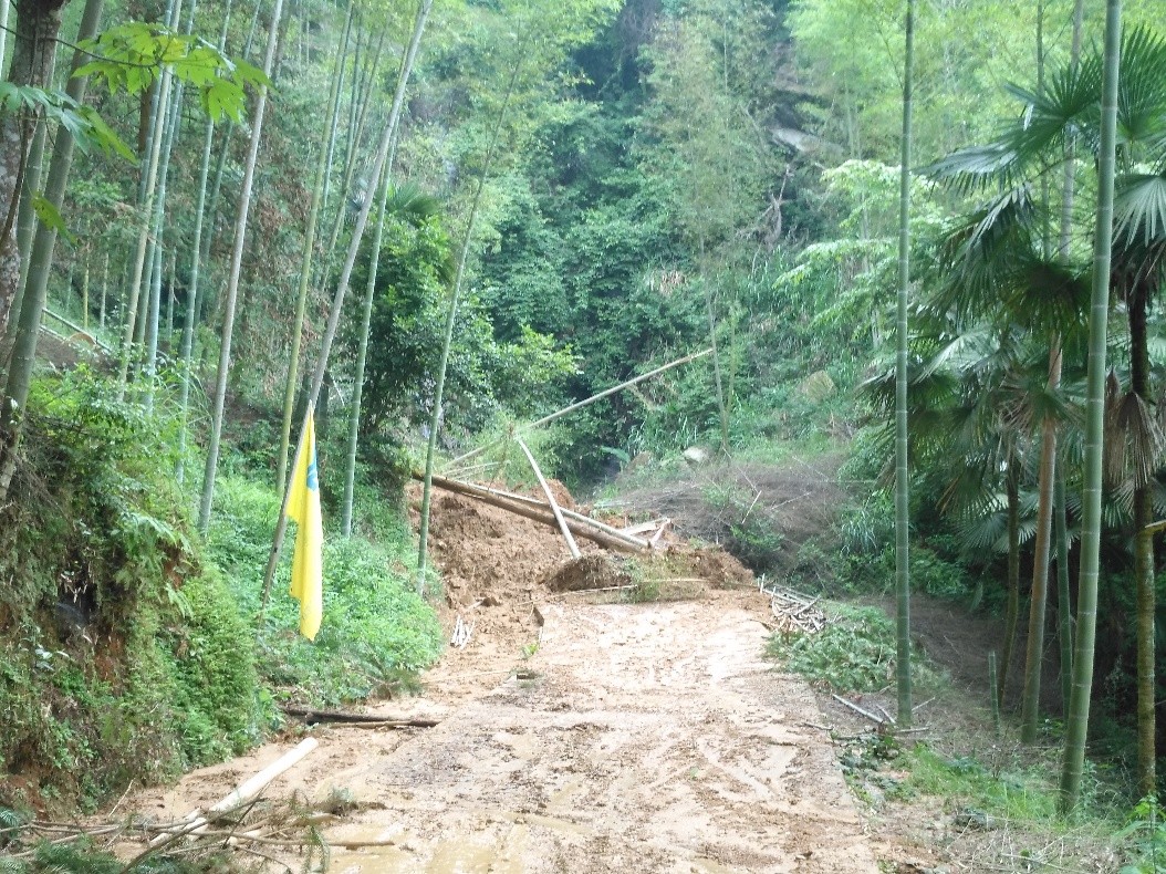 马一向蹄1.jpg